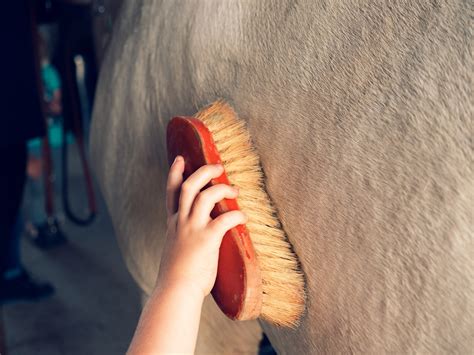 Make Grooming Fun with the Magic Brush Horse